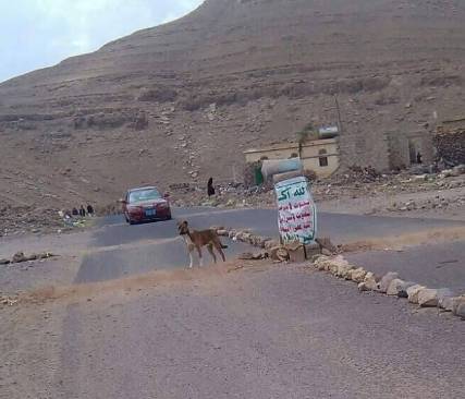 صورة ساخرة  على فيسبوك.. كلب يحرس نقطة للحوثيين !