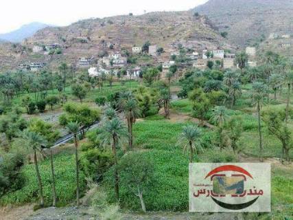 مليشيات الحوثي وصالح تستحدث مواقع في جبال مقبنة غرب تعز ( تقرير )